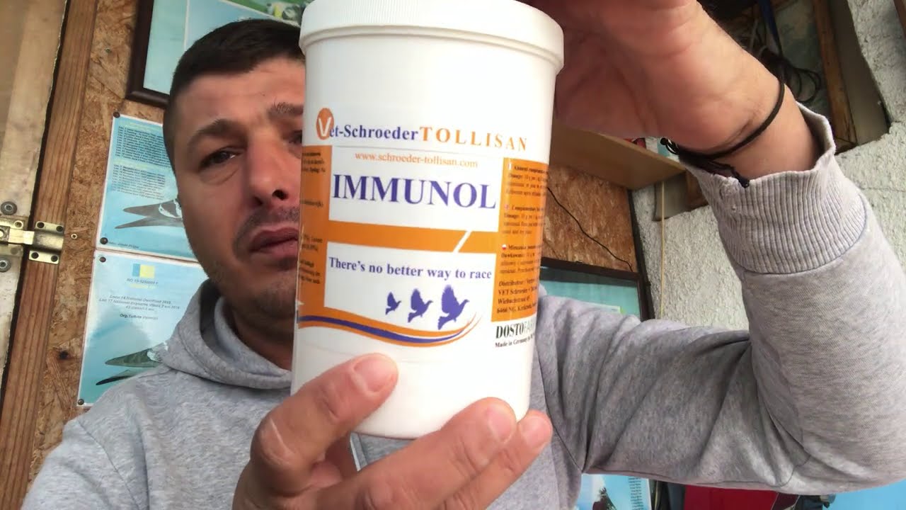 Tratamente Porumbei de Iarna 24/10/2020 loft Tulbita Valentin🕊