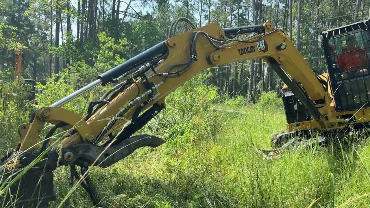 Clearing a Ditch on the Pond Drainage Project