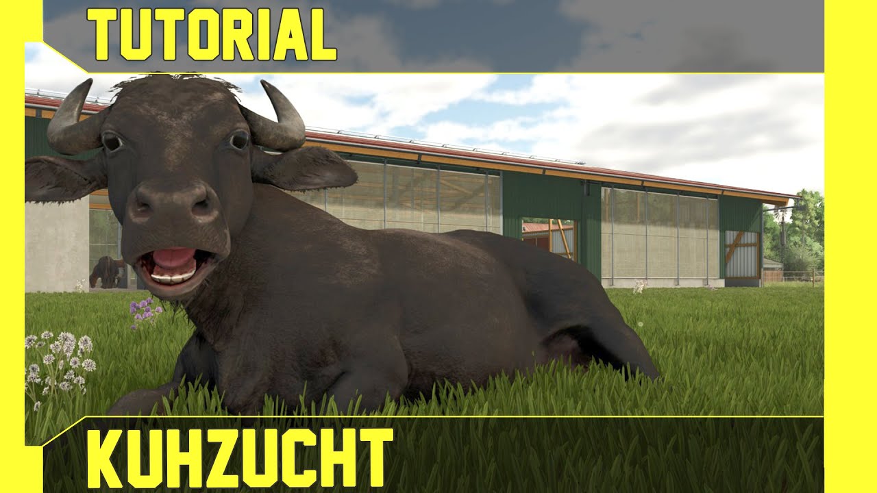 LS 25 K&uuml;he Tutorial: Kuhzucht leicht, einfach und verst&auml;ndlich erkl&auml;rt