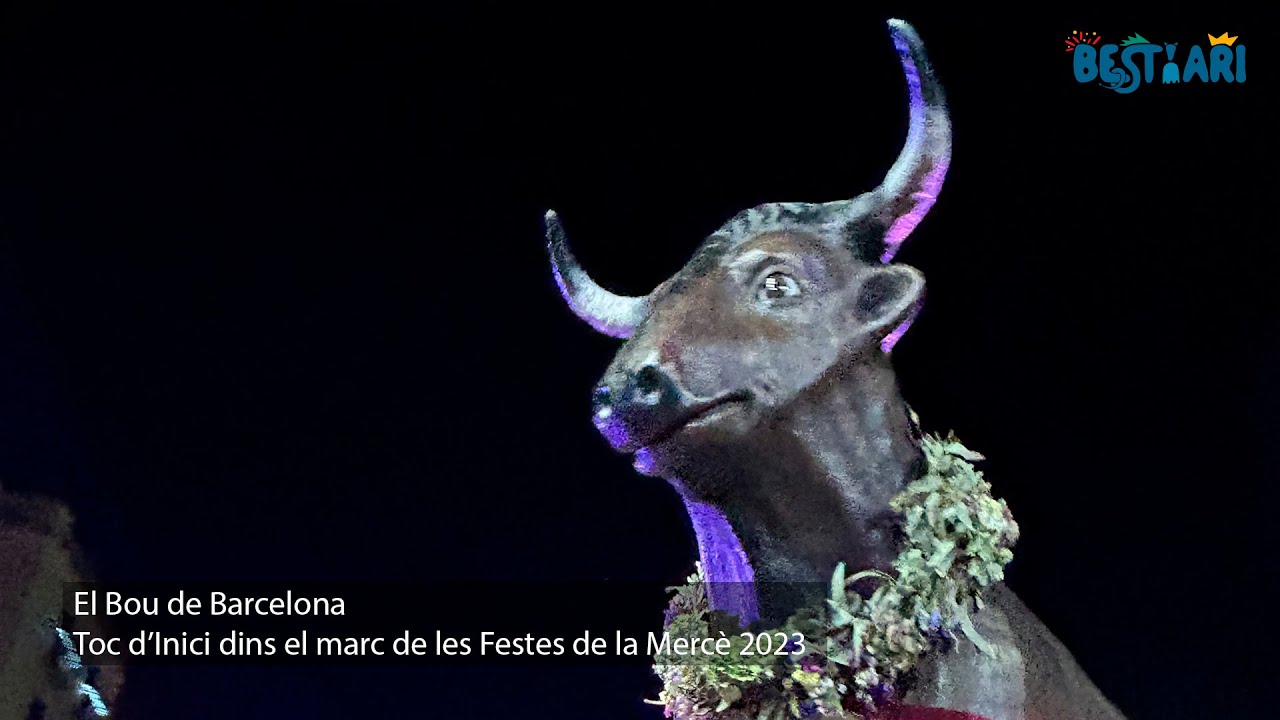 Toc d'Inici 2023 I El Bou I Els Amics dels Gegants Ramon i Lola del Raval