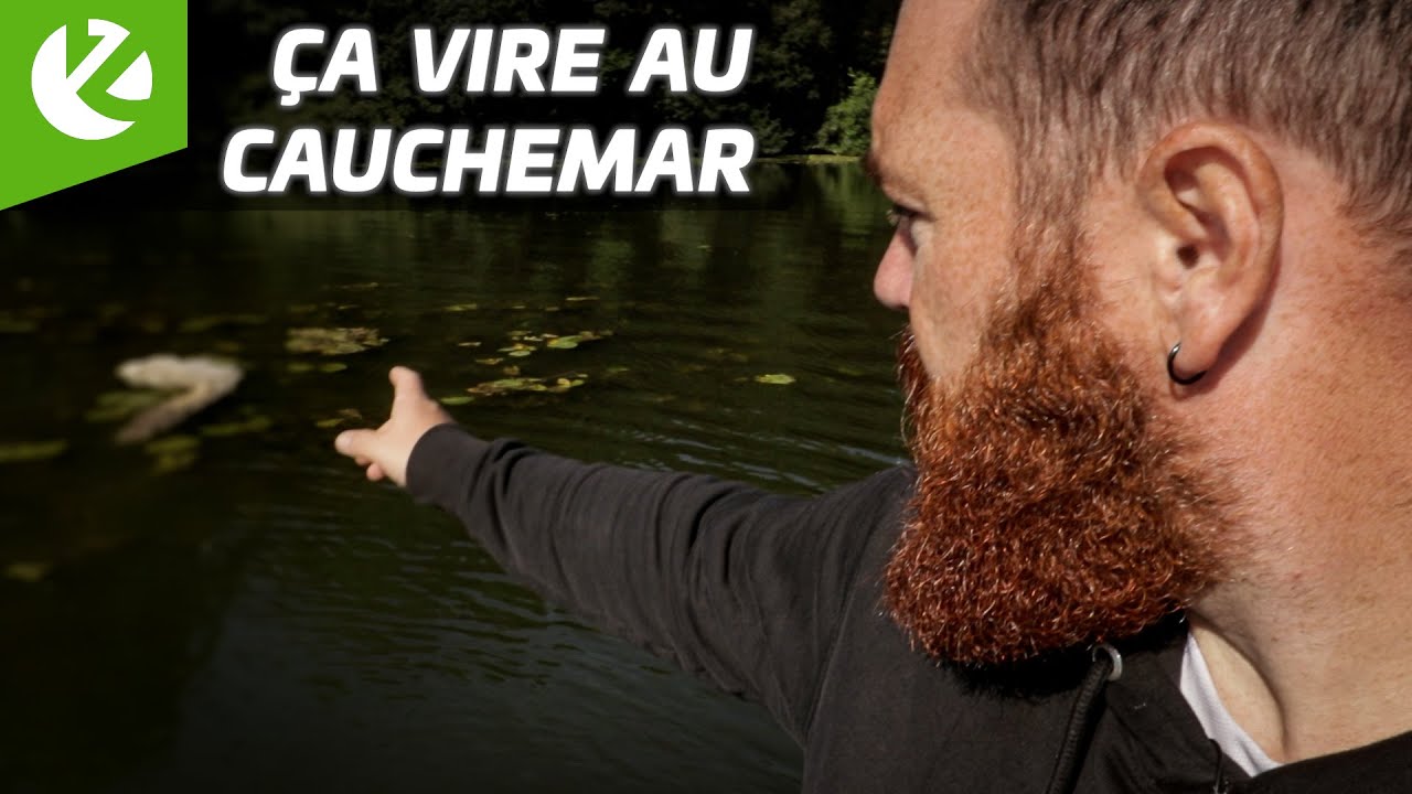 SILURE au CASSANT | ça vire au CAUCHEMAR