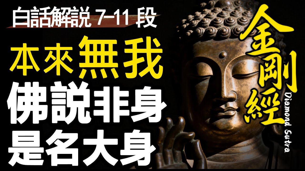既然無我，那我是誰？誰是我？《金剛經》教你放下“我執”，從此修行之路清明自在！|金剛經|逐段解説|第7~11段|睡前必聽