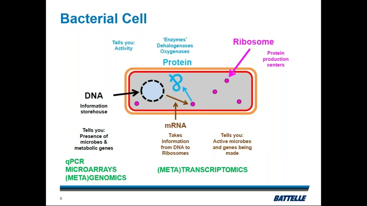 The Era of Advanced Omics – Proteomic Analysis of Microbial Communities