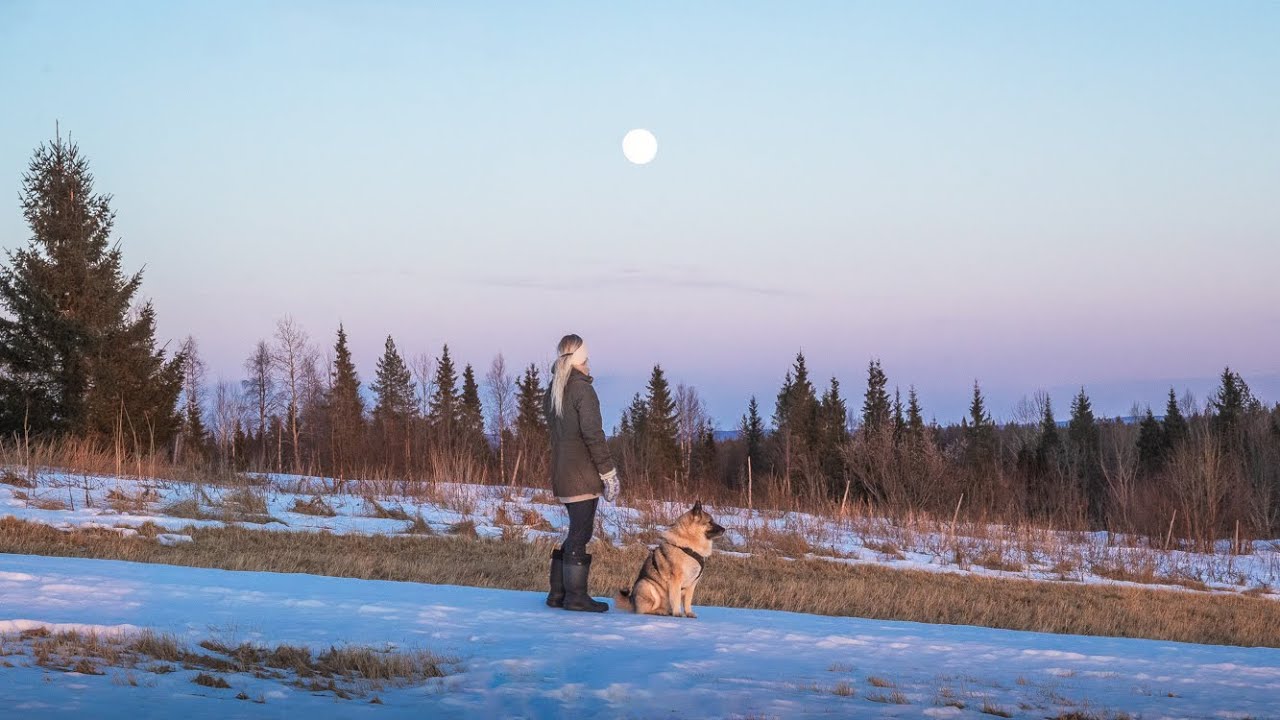 Simple Nordic Living | Finding Peace at My Nordic Home
