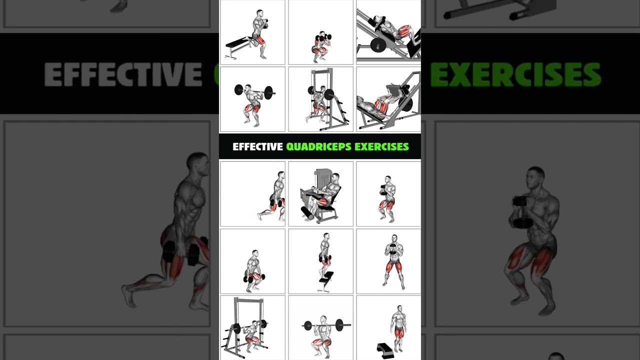 15 Best Exercises For Quadriceps #workout #quadriceps