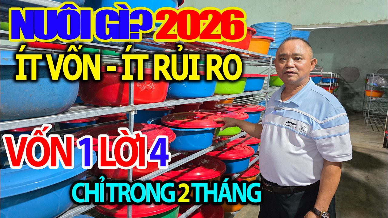 Nuôi Gì 2026 Ít Vốn Ít Rủi Ro- Bỏ Vốn 1 Lợi Nhuận Gấp 4 lần Chỉ Trong 2 Tháng/ Trại Đuông Tây Nguyên