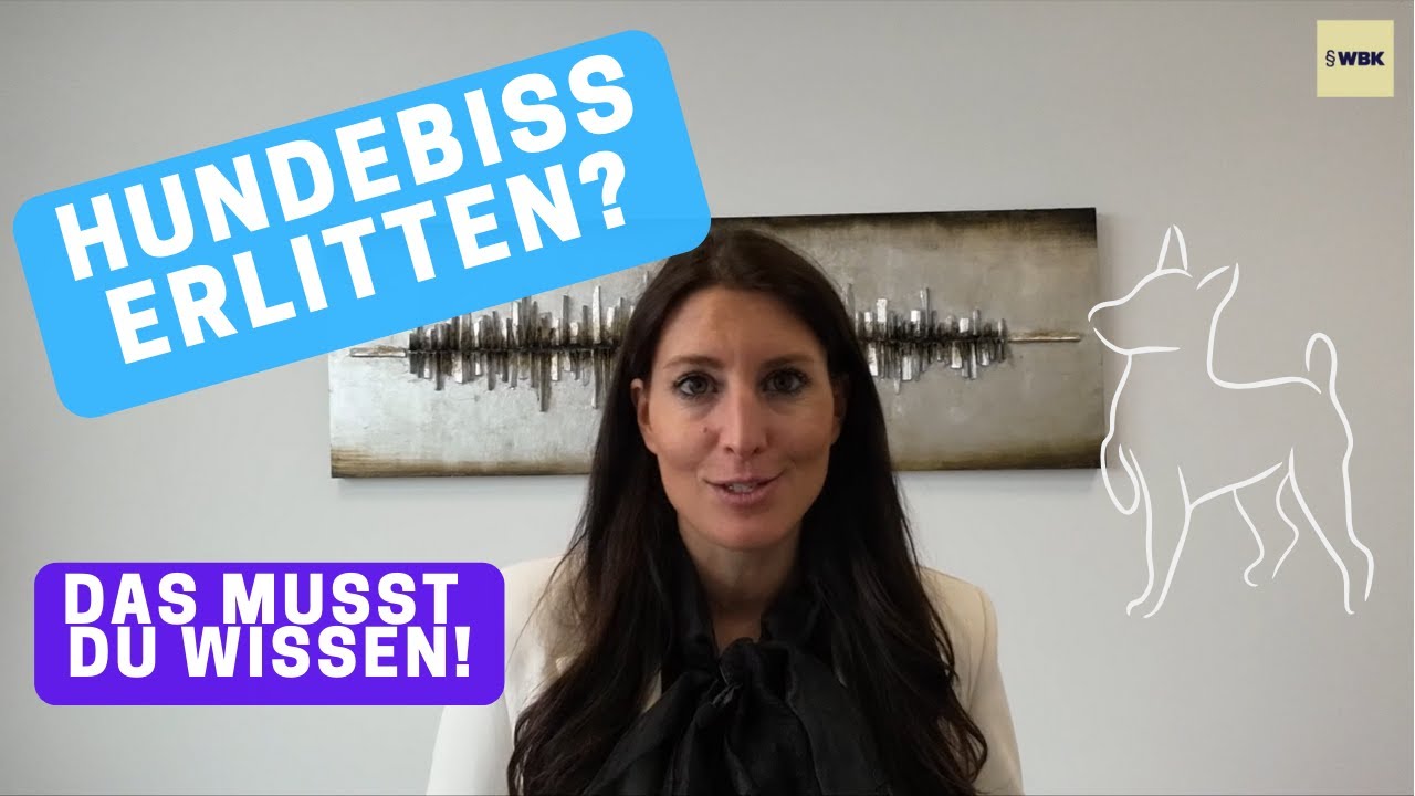Dein Hund oder Du wurden durch einen Hundebiss verletzt? Jetzt Anspr&uuml;che sichern!