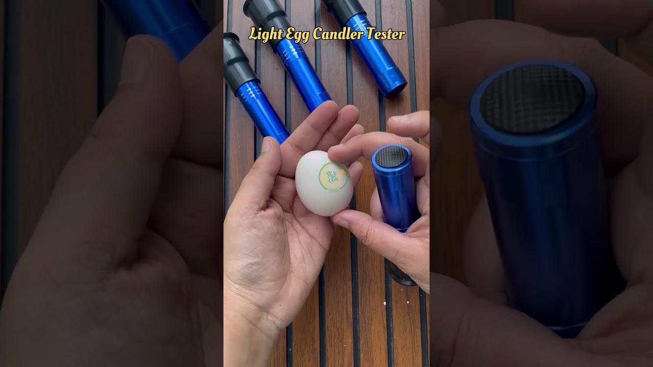 Light Egg Candler Tester | Bright Cool LED Candling Lamp