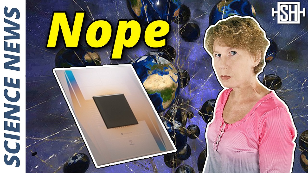 Did Google's Quantum Computer Find Evidence for the Multiverse?