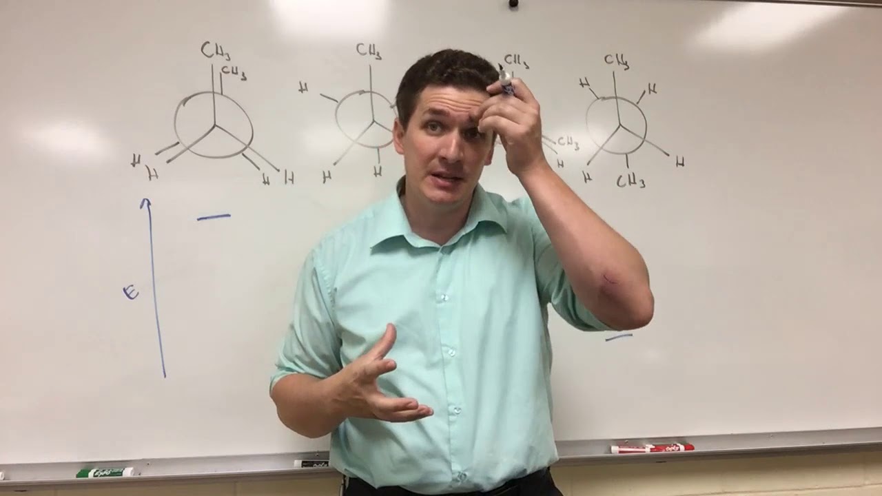 The Energy of the Various Newman Projections