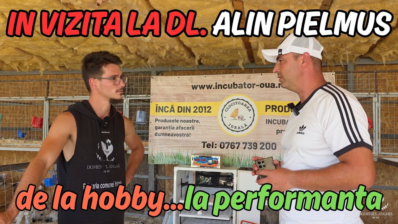 IN VIZITA LA DL. ALIN PIELMUS / CAMPION BRAHMA