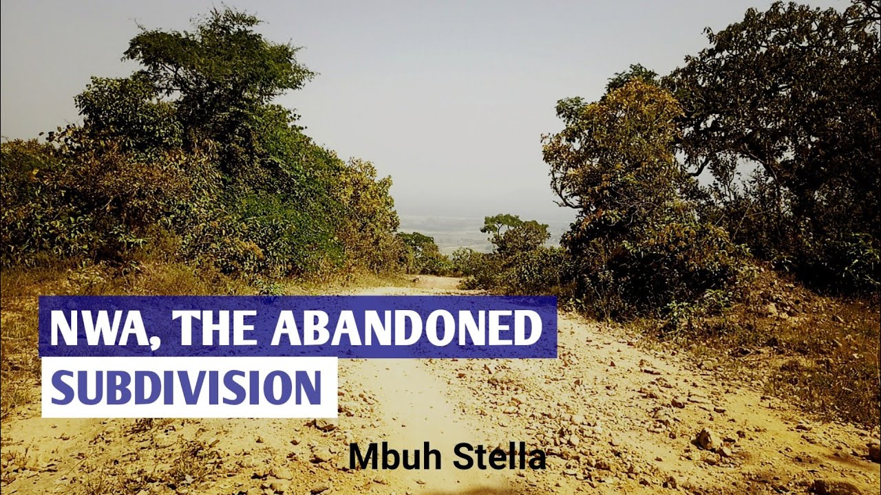 NWA, The Abandoned subdivision.