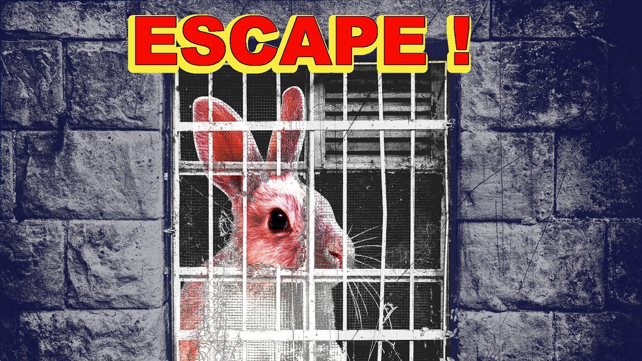 Rabbit Jailbreak