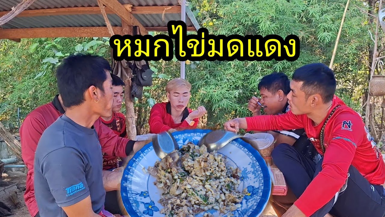 หมกไข่มดแดงใส่ไข่ แช่บๆพี่น้อง