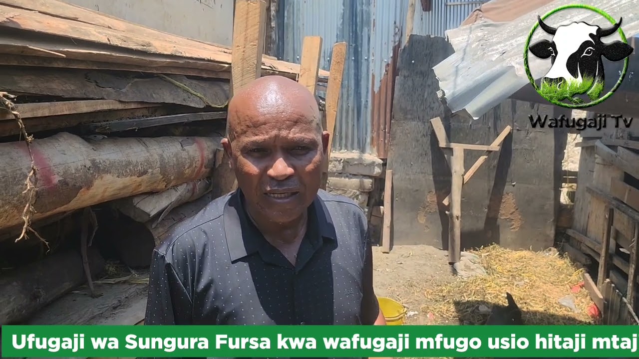 Ufugaji wa Sungura Fursa Mpya