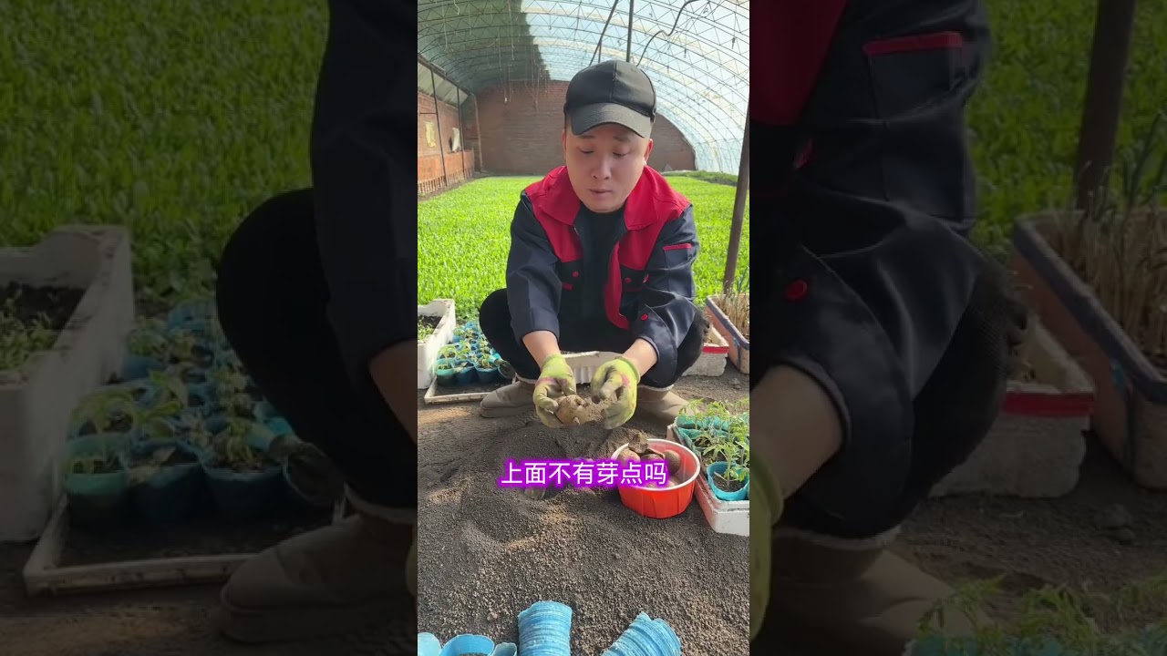 10 Mind-Blowing Travel Spots You Must Visit