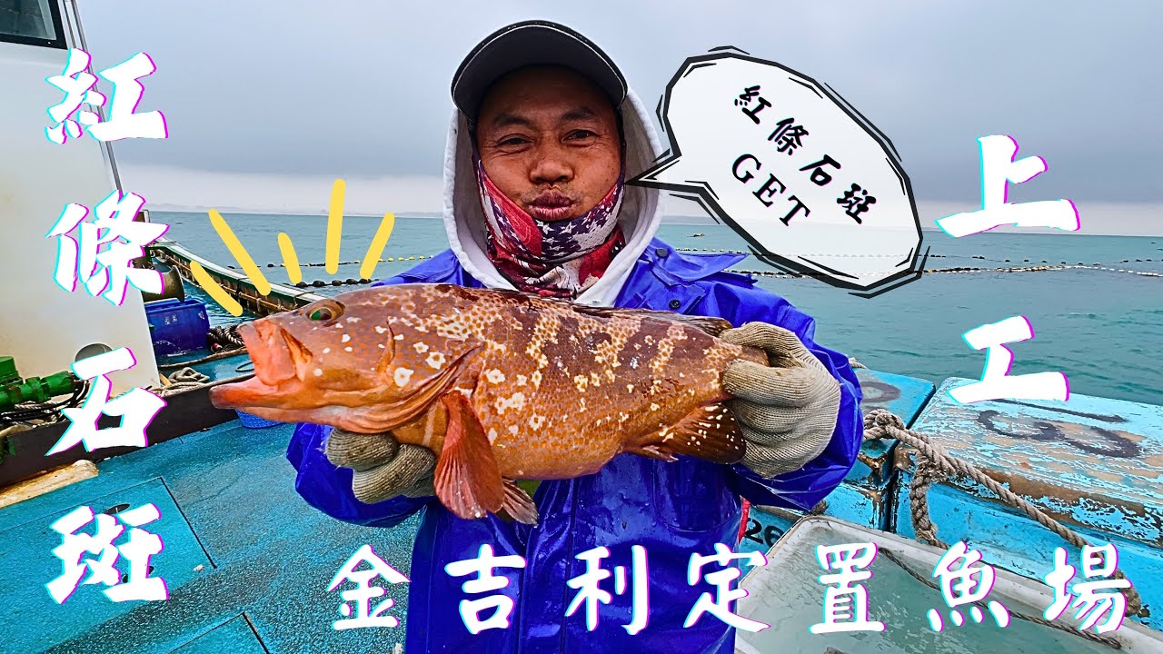 「🔴Live」海上直播！上工，今天星期一，萬惡的星期一，出海抓魚，上大貨！ #金吉利 #金吉利定置網 #金吉利定置漁場 #定置網 #shorts #fish #fisher #fishchannel