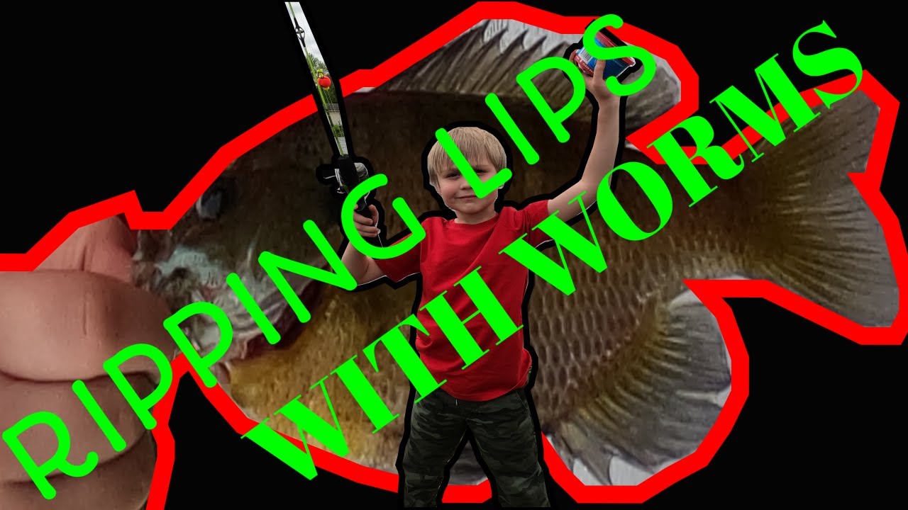 GREAT PERCH FISHING(Ripping Lips)