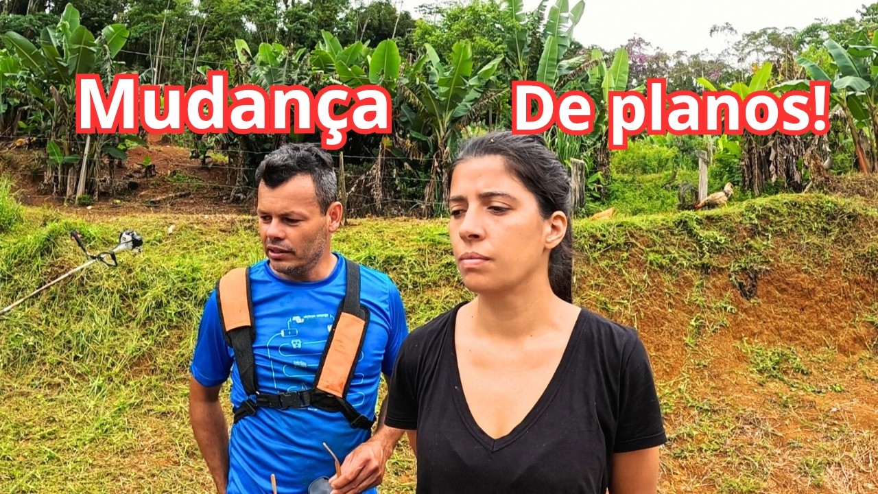 ROÇAMOS TUDO! A entrada do sítio ficou outra + Recado sério sobre o futuro.