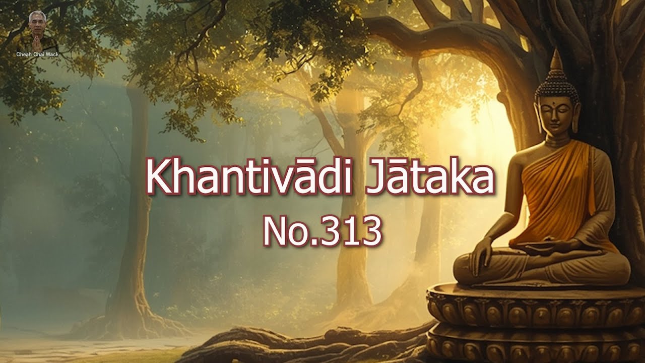 Khantivādi Jātaka, No  313