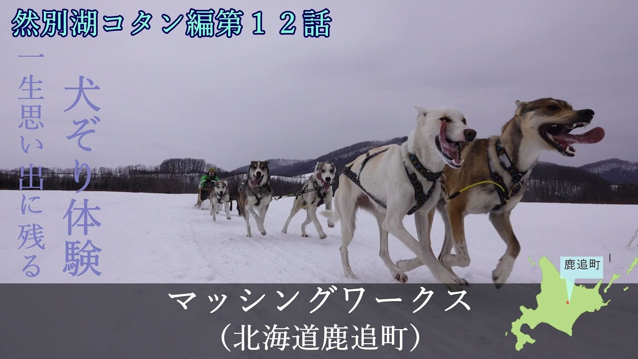鹿追町で一生ものの思い出、犬ぞり体験！マッシングワークス【然別湖コタン編第１２話】