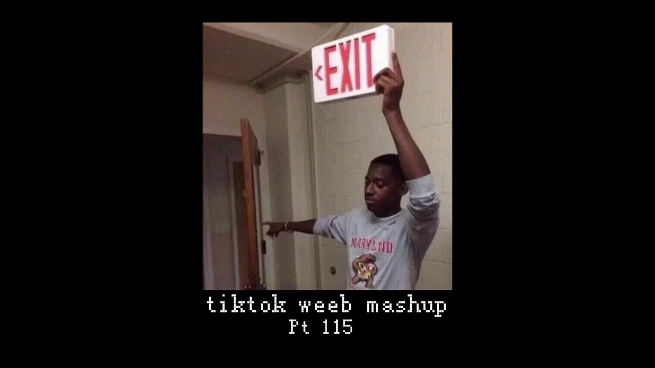 tiktok weeb mashup 115 (60 songs)