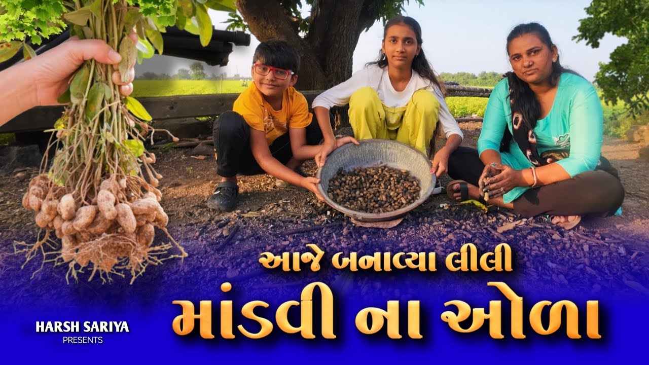 🥜🚜 લીલી માંડવીના ઓરા પહેલી વાર બનાવ્યા 😍 | Mandvi Na Ora | Peli Vakhat Ora Banavya | Farming Life🌿