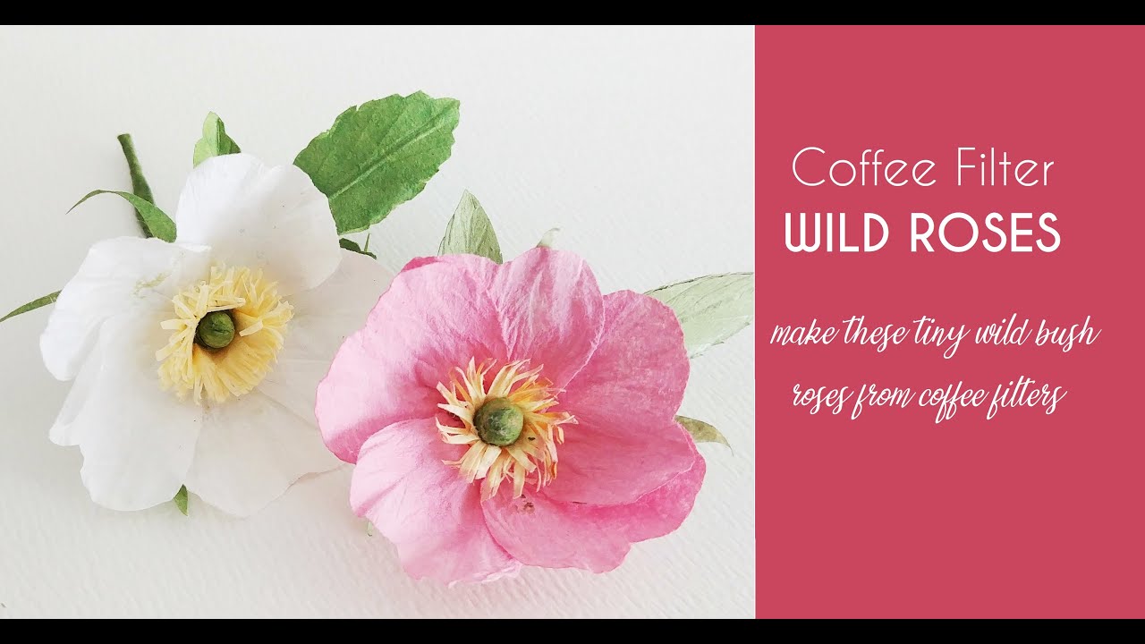 Coffee Filter Flowers - Wild Rose