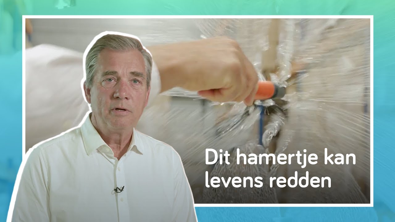Vergroot de veiligheid in de auto met een hammer | Life Hammer