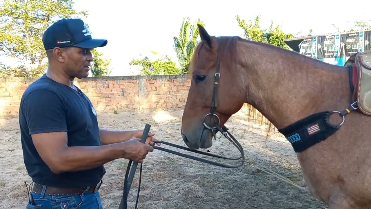 COMO DESTRAVAR O RECUO DO SEU CAVALO