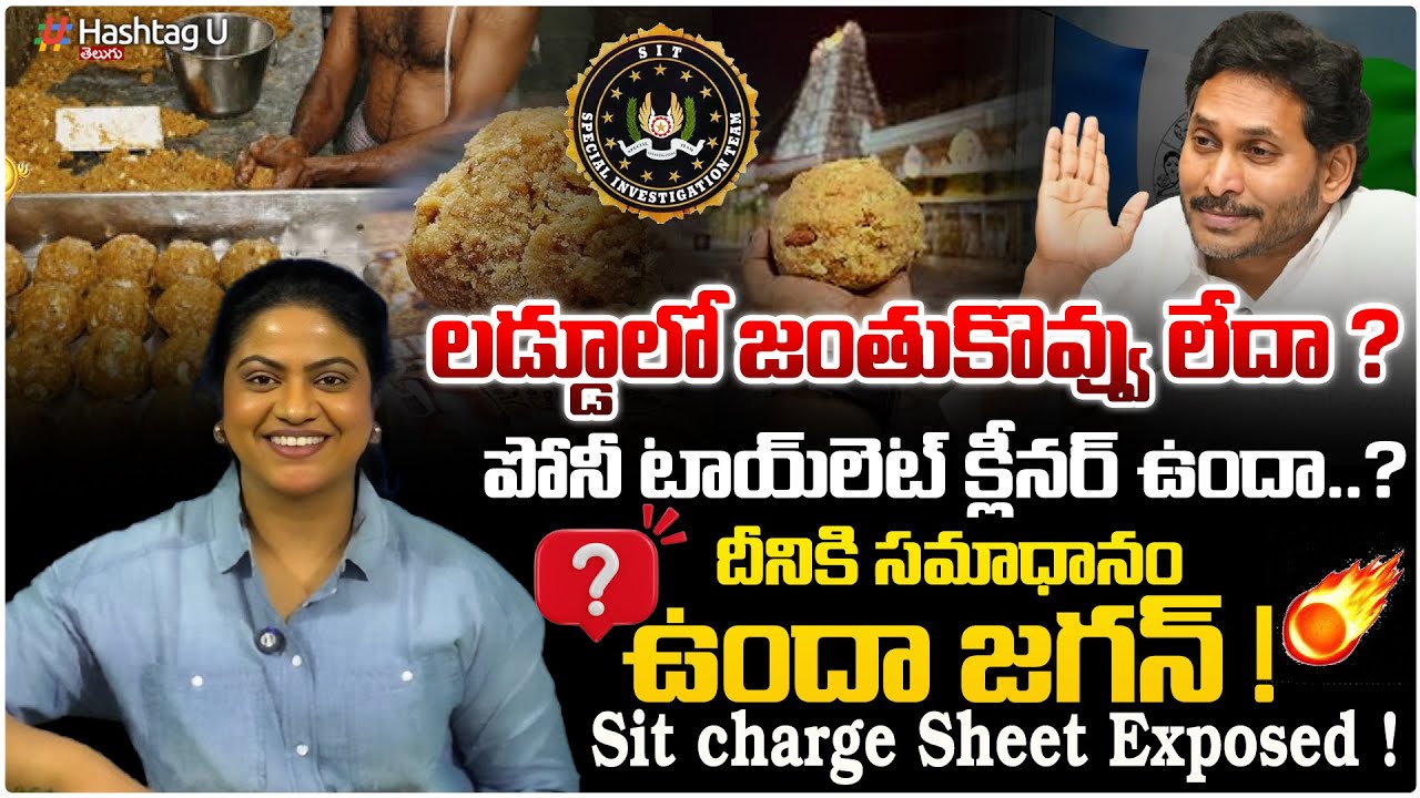 లడ్డూలో జంతు కొవ్వు లేదా? టాయిలెట్ క్లీనర్ ఉందా| Common Voter In Tirumala Laddu Scam And Chemical #u