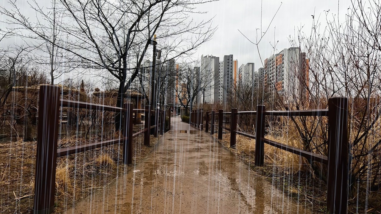 아무도 없는 고요한 공원에서 듣는 잠이 잘 오는 빗소리, 불면증 해소의 최고의 사운드, 백색소음 ASMR