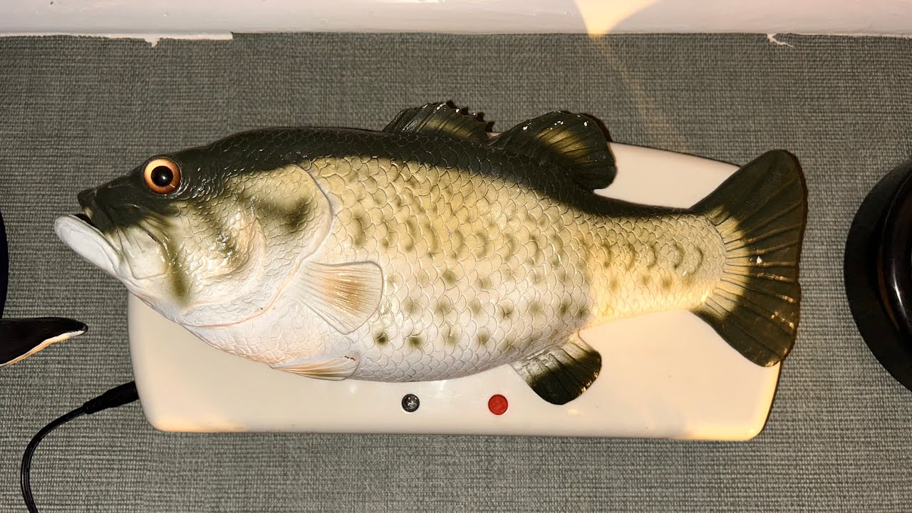 NB toys Fish 