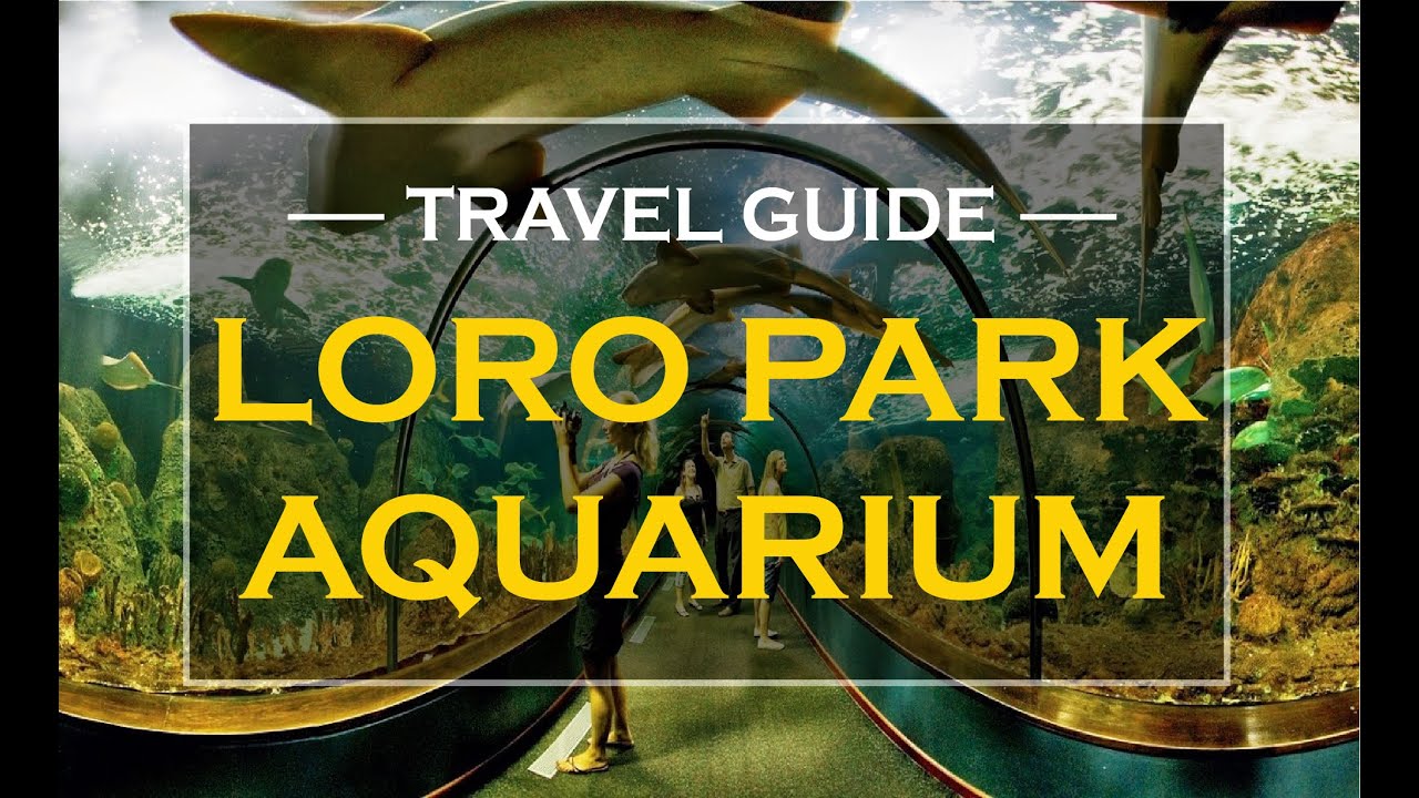 LORO PARQUE AQUARIUM ( FROM THE DEPTH OF THE SEAS )