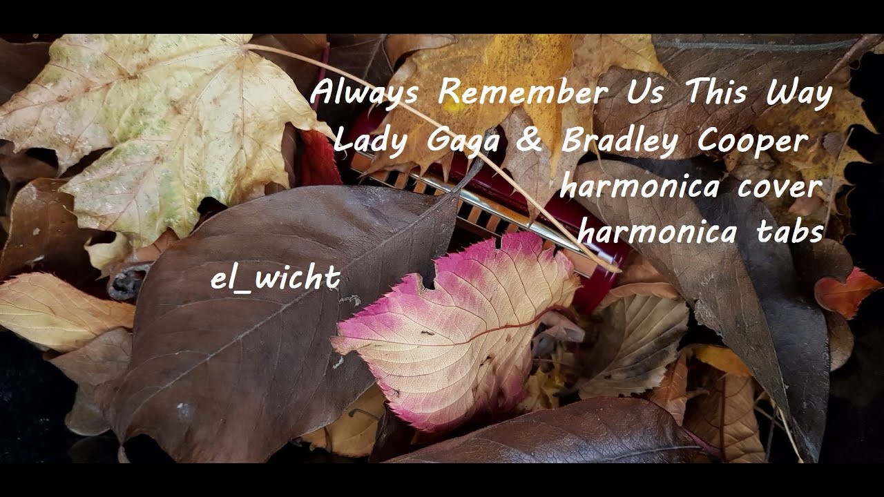 Always Remember Us This Way - harmonica cover - harmonica tabs - Lady Gaga - el wicht - C harp