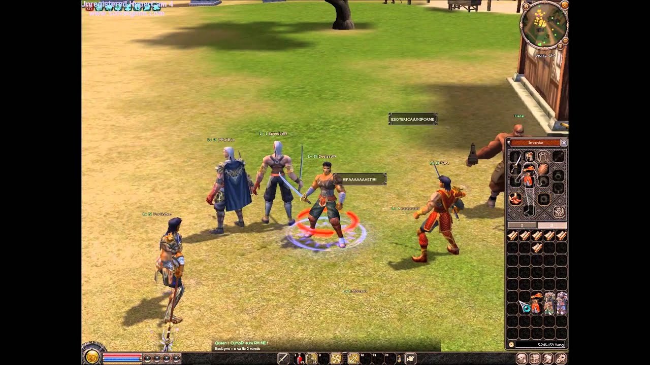 Metin2009-