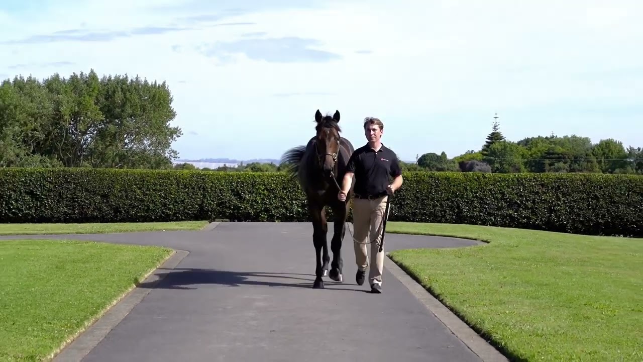 Proisir x Twenty One Times '24 Colt - Shane Nichols Racing
