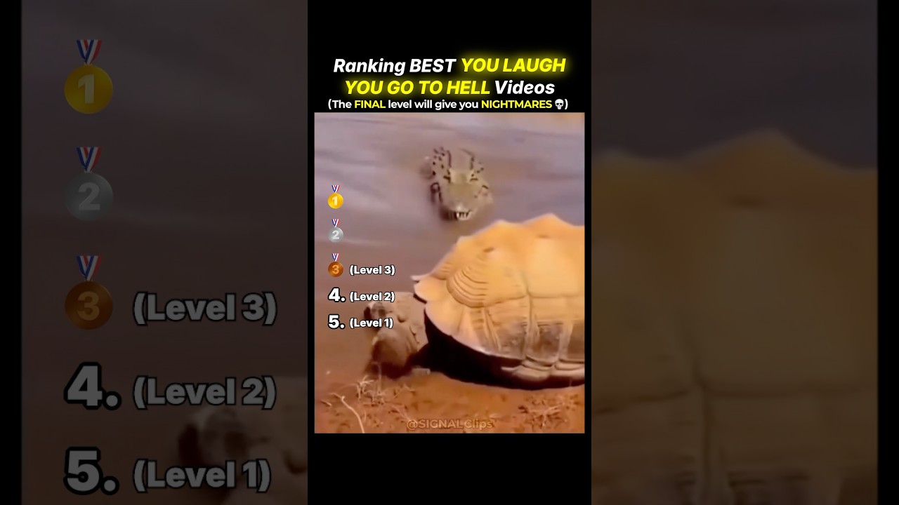 Ranking Best If You Laugh You go to Hell videos 😂 part 85 #shorts