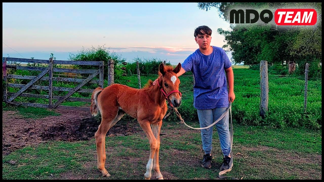 NUEVO INTEGRANTE EN EL CAMPO, ELEGILE EL NOMBRE