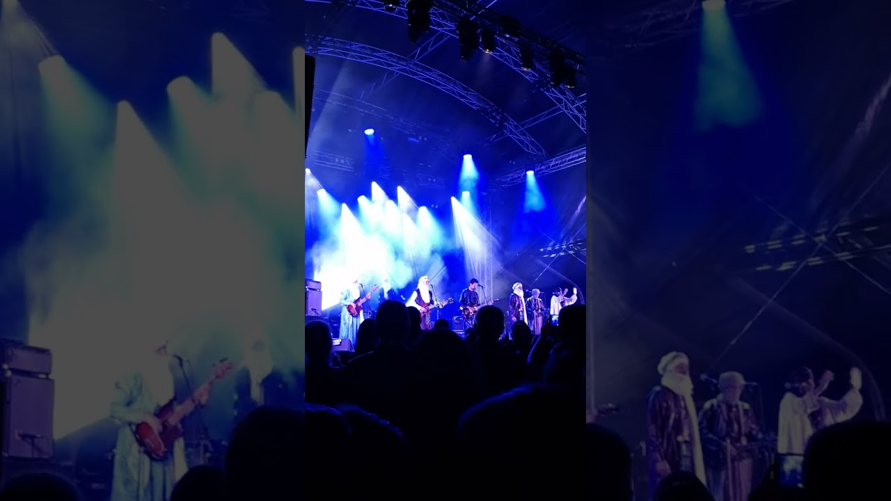 Tinariwen aux Musiques M&eacute;tisses 2025