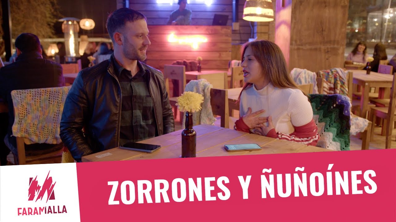 Zorrones y Ñuñoínes