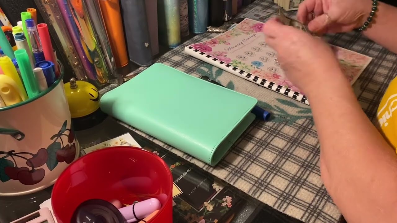 Happy mail from the most organized owl 🦉/ playing stuffing her challenges 🦉