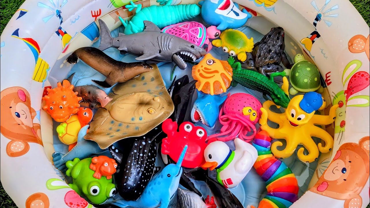 Ocean Creatures Playtime Learning for Kids & Preschoolers | Fun & Cute Sea Animals