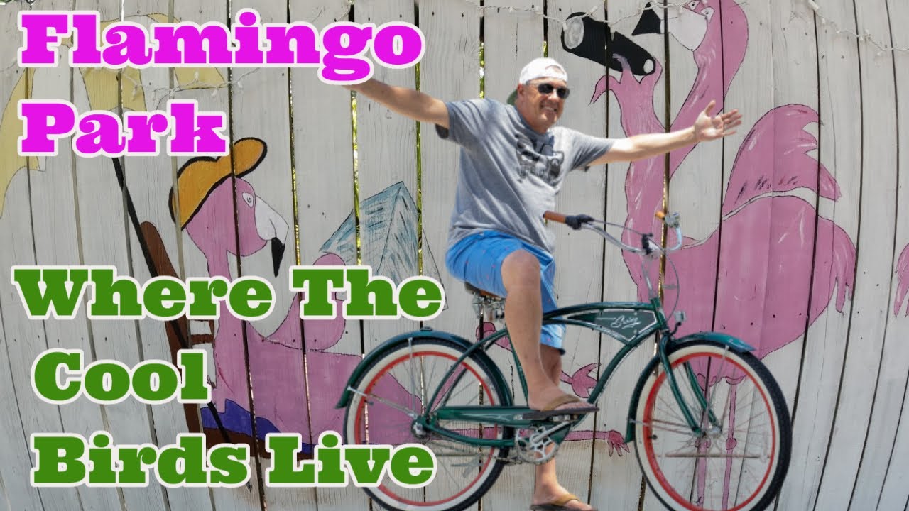 Florida Neighborhoods-Flamingo Park (West Palm Beach)