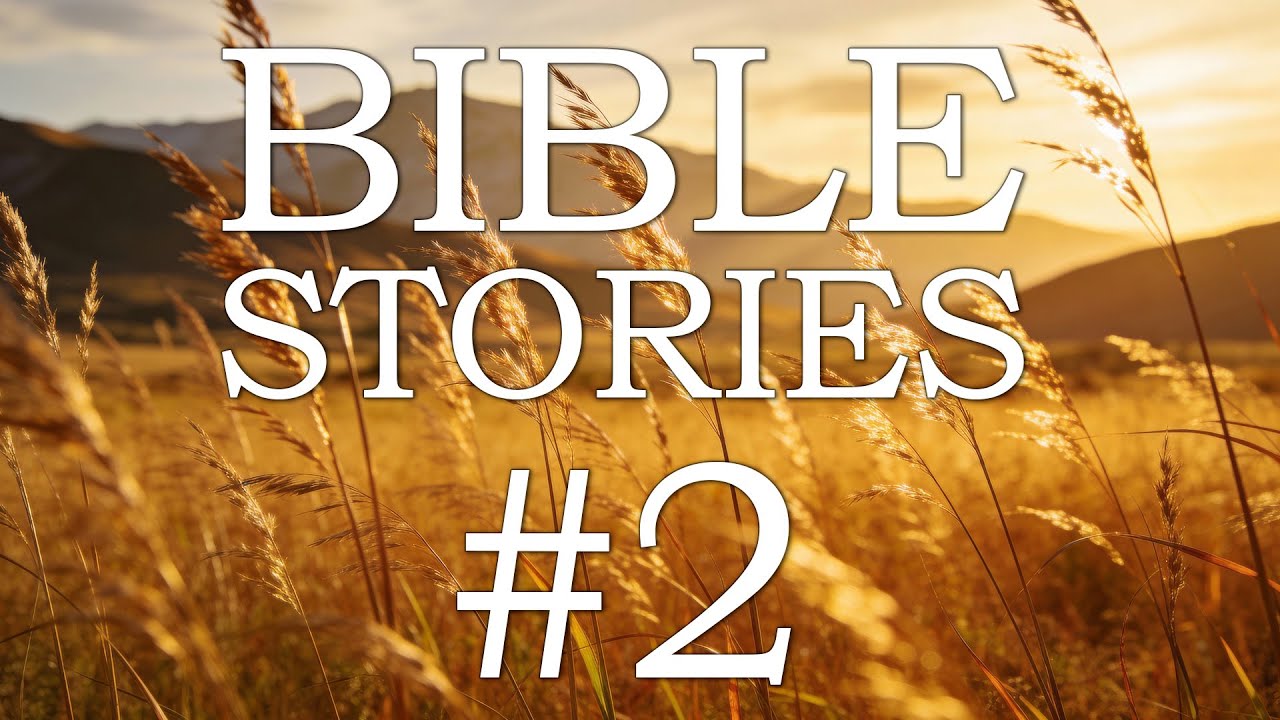 Bible Stories #2 | 1 Hour of God's Word for Peaceful Sleep 🌙📖