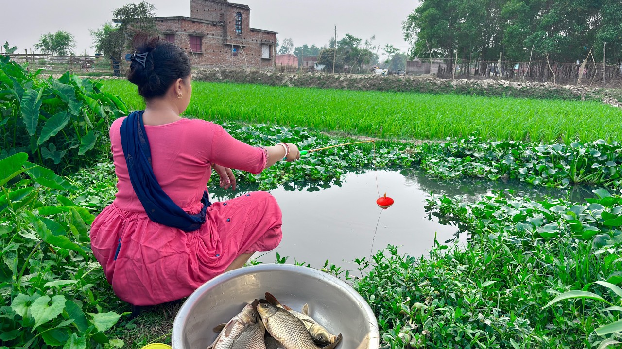 Amazing Hook Fishing Video🎣🎣|| Beautiful cute lady fishing in the canal with hook| Best hook fishing