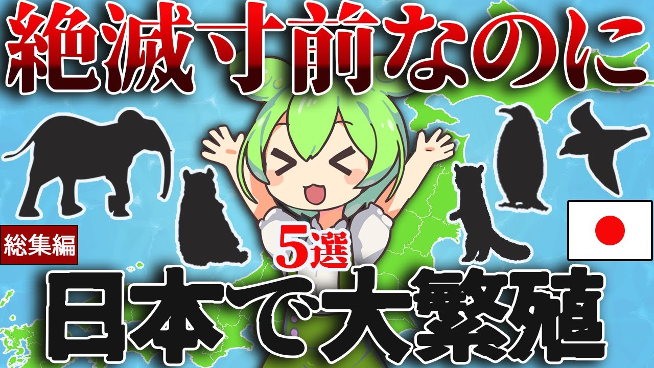 【総集編】絶滅寸前まで追い込まれているのに、実は日本で大繁殖！5選【ずんだもん＆ゆっくり解説】