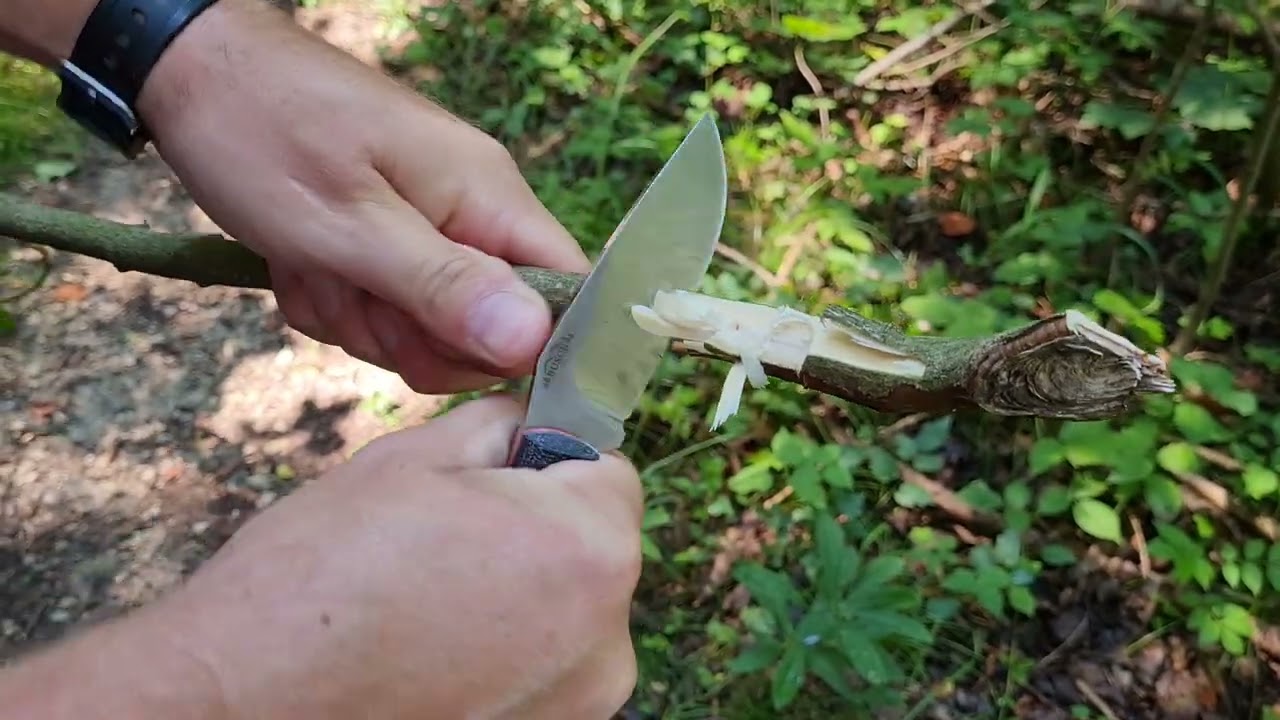 Natrix von JARS-Messer. Zweiter kleiner Test. Im Holz.