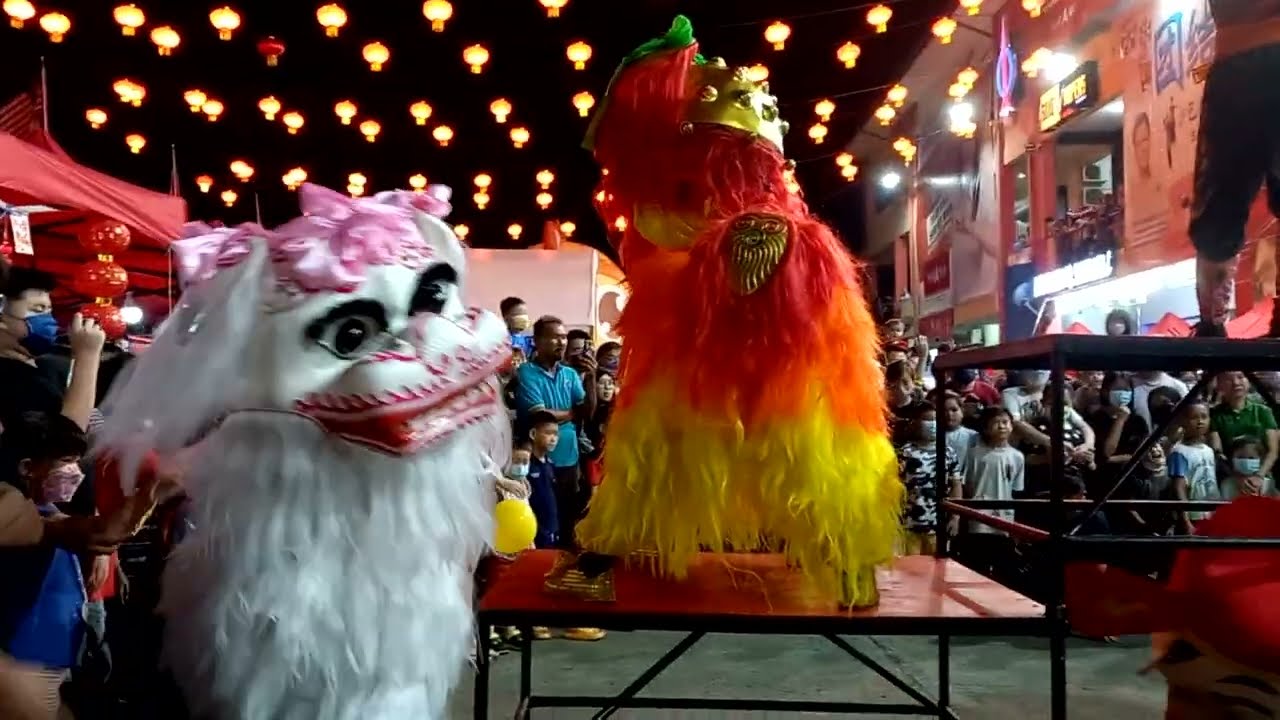 White Beijing lion dance street performance @ Sandakan Malaysia