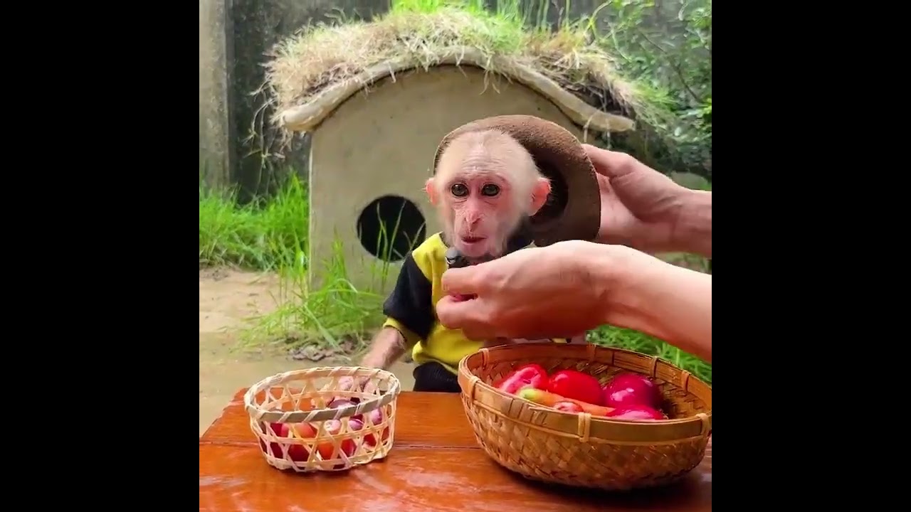 Annie’s Farm Was Destroyed… Despite Her Hope and Dreams 💔🌾